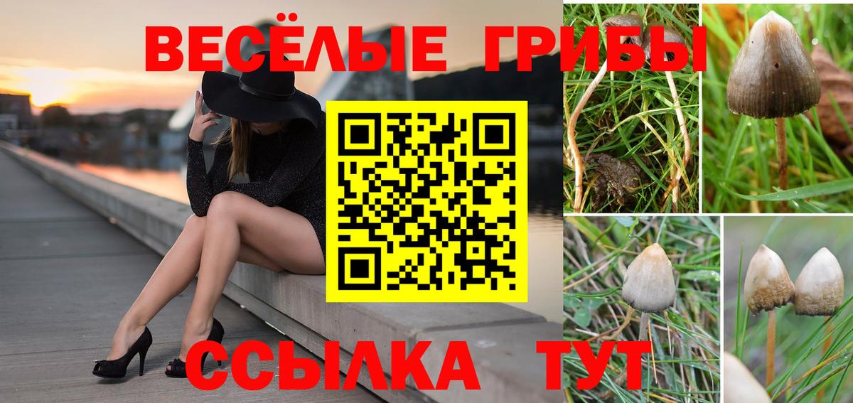 Псилоцибиновые грибы MAGIC MUSHROOMS  Вход с VPN  Люберцы 